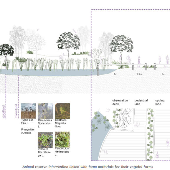 Portfolio Environmental
